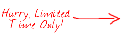 Offer Price